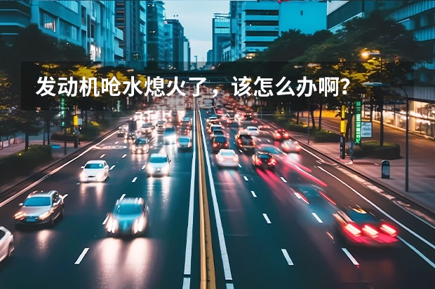 发动机呛水熄火了,该怎么办啊?