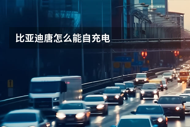 比亚迪唐怎么能自充电