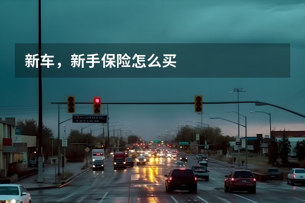 新车，新手保险怎么买