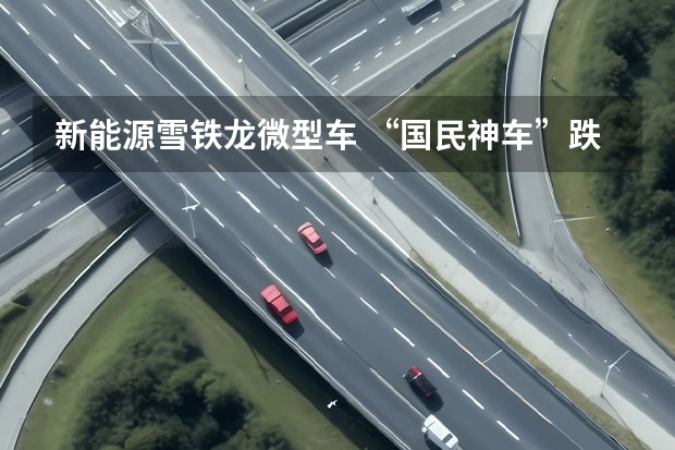新能源雪铁龙微型车 “国民神车”跌落神坛，曾红透半边天的五菱小车为啥不好卖了