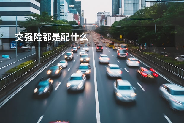 交强险都是配什么