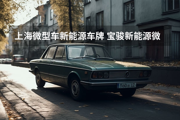 上海微型车新能源车牌 宝骏新能源微型车E100，4.98万起续航250km，值么？