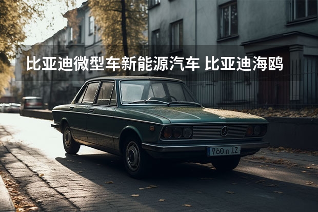 比亚迪微型车新能源汽车 比亚迪海鸥新能源汽车(比亚迪海鸥纯电动微型轿车)