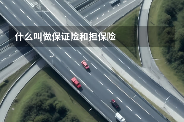 什么叫做保证险和担保险