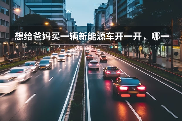 想给爸妈买一辆新能源车开一开，哪一款比较好？ 十万上下买新能源车/纯电动车比较推荐谁