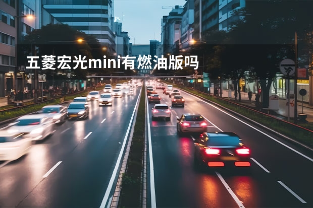 五菱宏光mini有燃油版吗