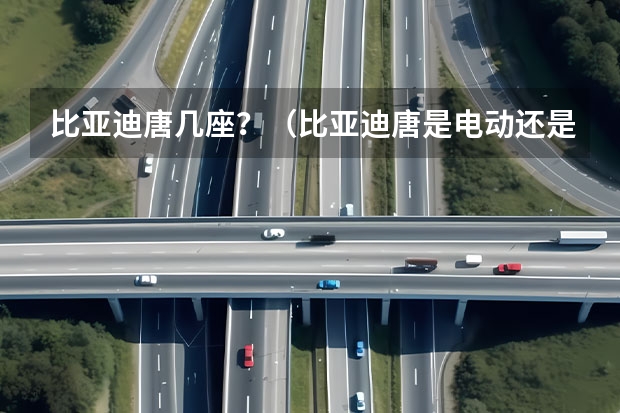 比亚迪唐几座？（比亚迪唐是电动还是油电混合？）