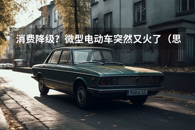消费降级?微型电动车突然又火了(思皓新能源赵久志:电动化为A00级带来新机会 | 汽车产经)