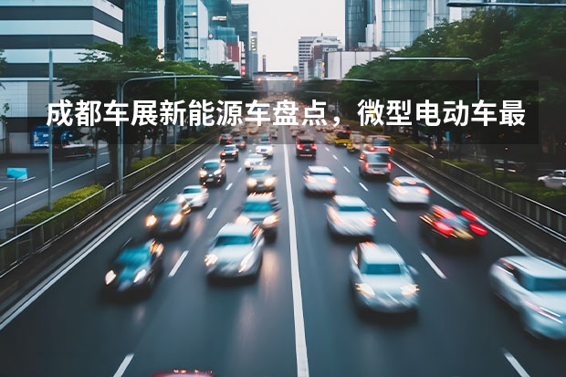 成都车展新能源车盘点，微型电动车最“抢眼”（微型车排行榜前十名？）