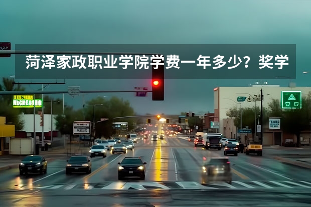 菏泽家政职业学院学费一年多少?奖学金介绍