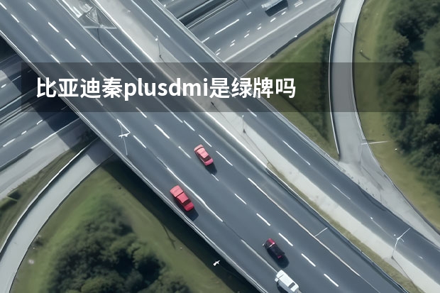 比亚迪秦plusdmi是绿牌吗