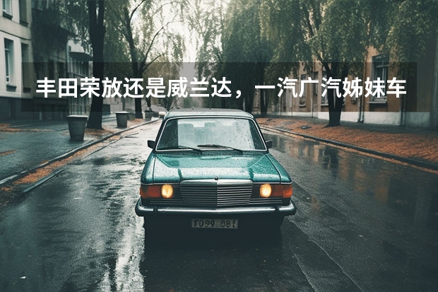 丰田荣放还是威兰达，一汽广汽姊妹车有何区别？（首次引入北美版越野套件 一汽丰田新RAV4荣放上市）