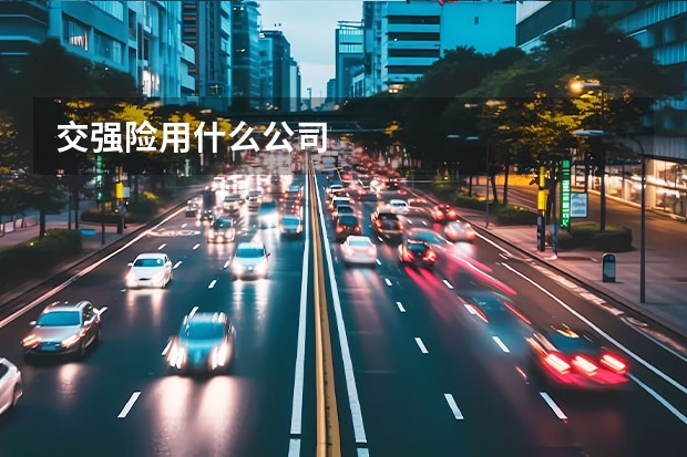 交强险用什么公司