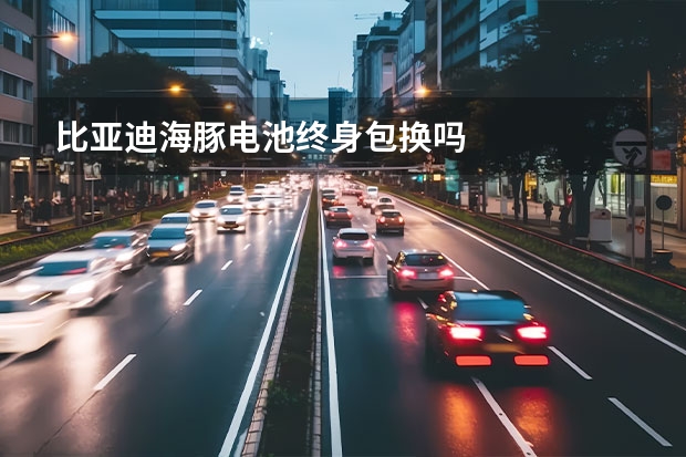 比亚迪海豚电池终身包换吗