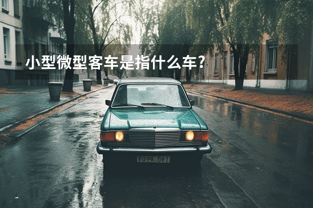 小型微型客车是指什么车?