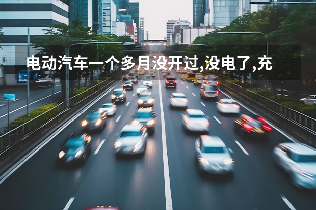 电动汽车一个多月没开过,没电了,充电时屏幕也不显示充电了,该怎么办?