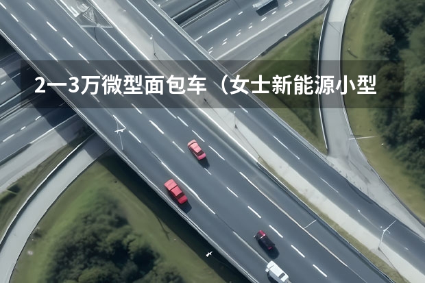 2一3万微型面包车(女士新能源小型车5万以下)