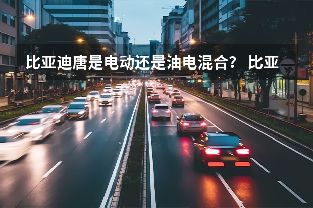 比亚迪唐是电动还是油电混合? 比亚迪油电混动第一名