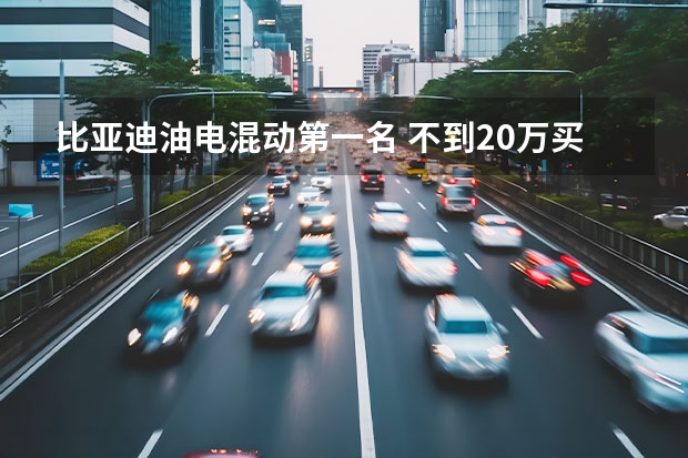 比亚迪油电混动第一名 不到20万买六座新能源 这三款插电混动六座车值得选