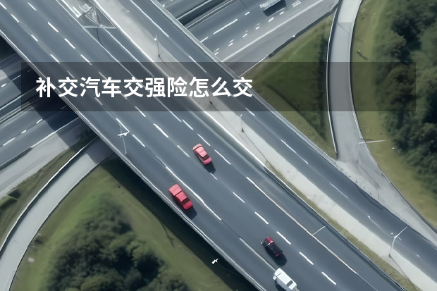 补交汽车交强险怎么交