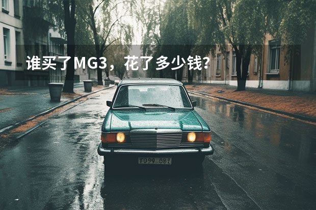 谁买了MG3，花了多少钱？