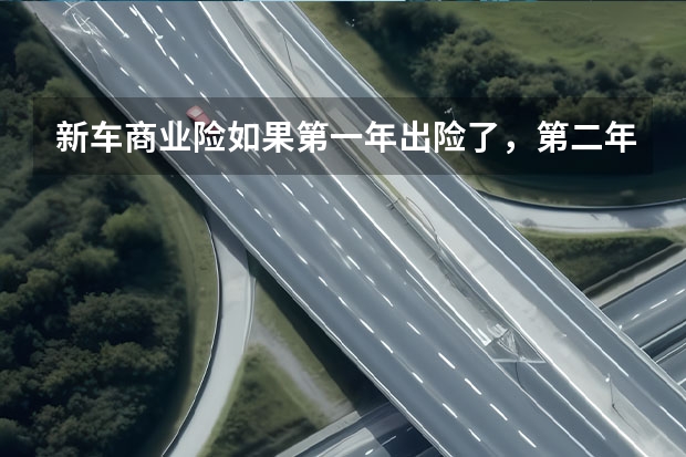 新车商业险如果第一年出险了,第二年我就不交了,只交交强险可以吗?