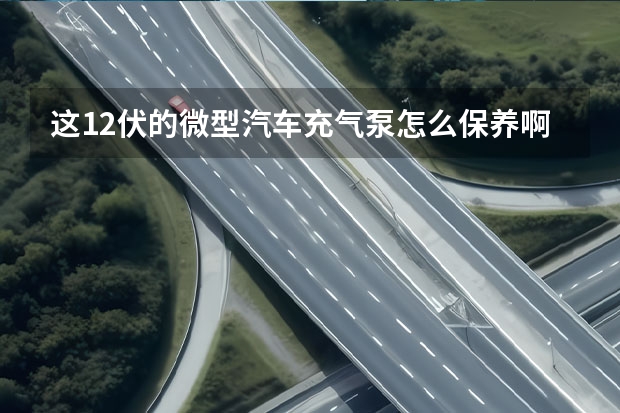 这12伏的微型汽车充气泵怎么保养啊？