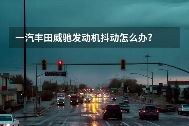一汽丰田威驰发动机抖动怎么办?