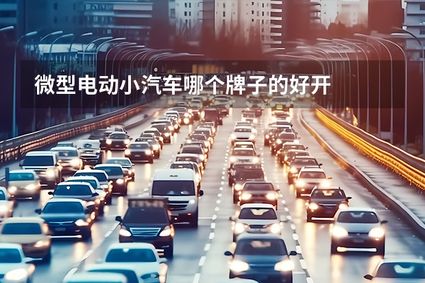 微型电动小汽车哪个牌子的好开