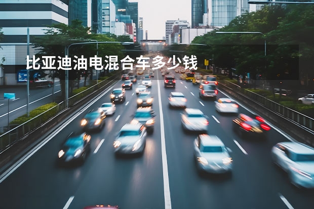 比亚迪油电混合车多少钱