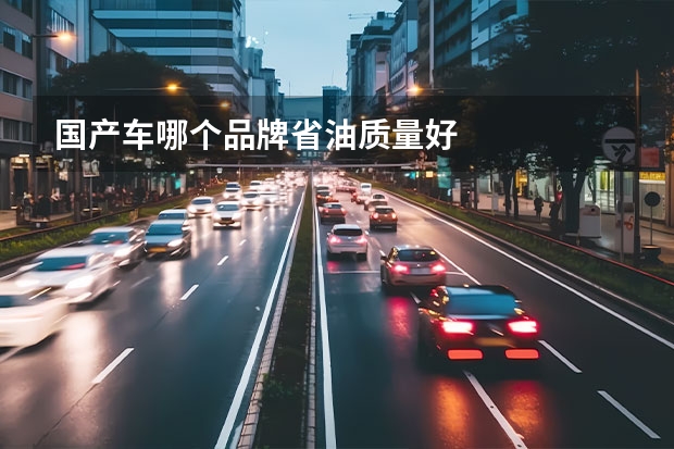 国产车哪个品牌省油质量好