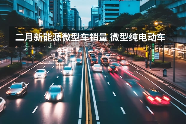 二月新能源微型车销量 微型纯电动车迎来新春天，宏光MINI EV领跑新能源车销量榜！