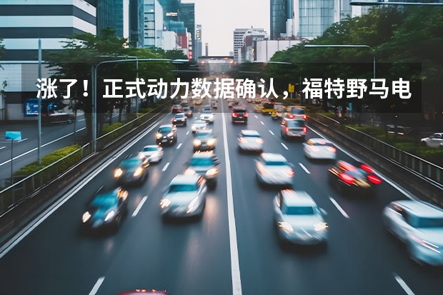 涨了！正式动力数据确认，福特野马电动车又引话题？（凌宝汽车亟需支援，鹿守光该从何发力）