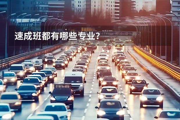 速成班都有哪些专业?