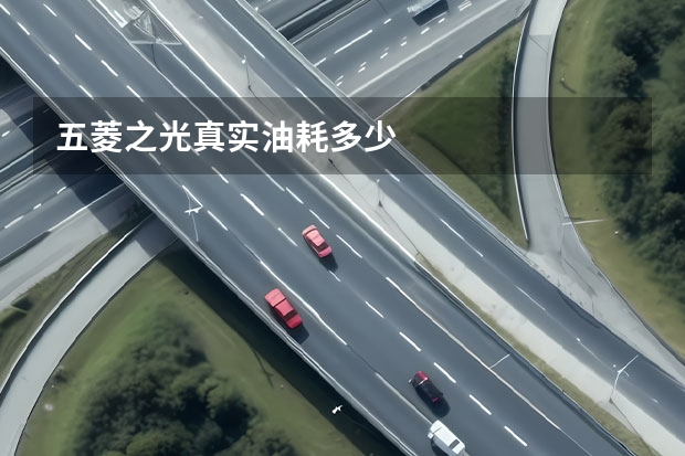 五菱之光真实油耗多少