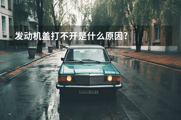 发动机盖打不开是什么原因?