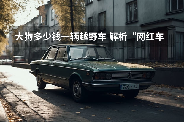 大狗多少钱一辆越野车 解析“网红车”——哈弗大狗，硬派外观+坦克掉头+越野透明底盘