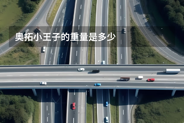 奥拓小王子的重量是多少