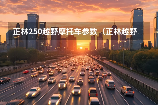 正林250越野摩托车参数(正林越野摩托车数据)