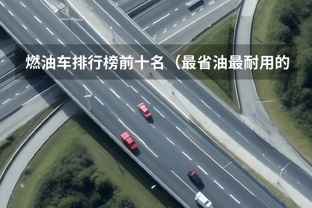 燃油车排行榜前十名(最省油最耐用的微型汽车)