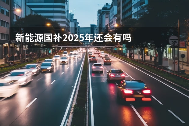 新能源国补2025年还会有吗
