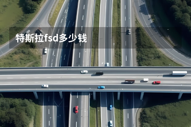 特斯拉fsd多少钱