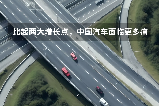 比起两大增长点，中国汽车面临更多痛点 2025年中国汽车行业“毒圈”缩小