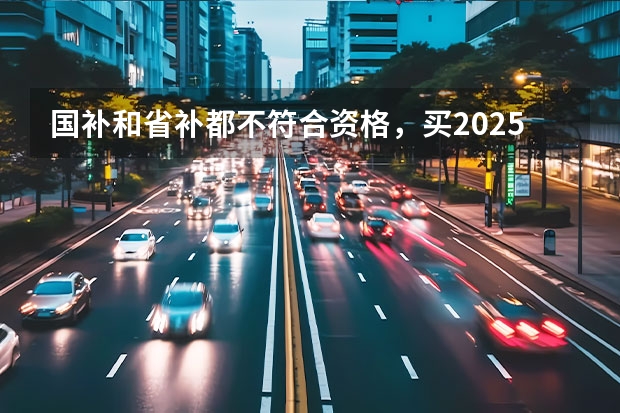 国补和省补都不符合资格，买2025款星途揽月还有其他补贴吗？