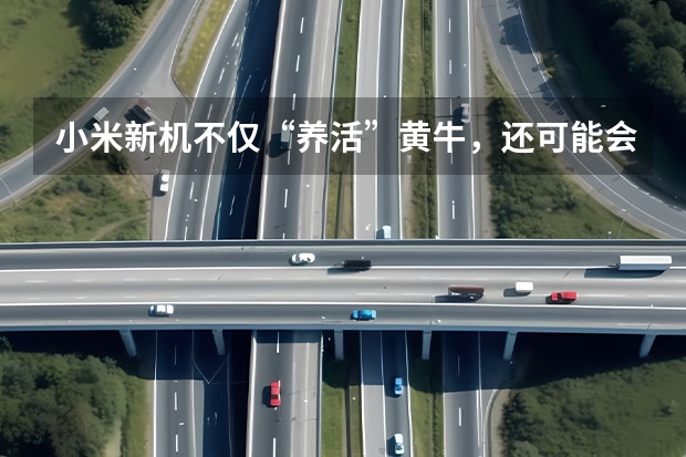 小米新机不仅“养活”黄牛,还可能会“害惨”黄牛!大家怎么看?