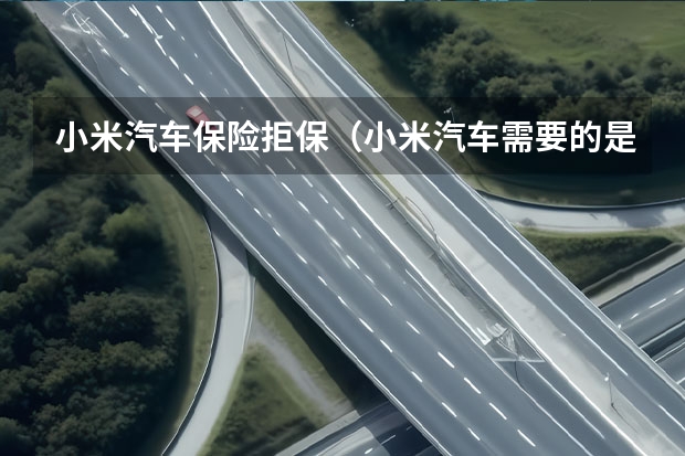 小米汽车保险拒保（小米汽车需要的是务实的定价，而不是F码）