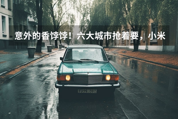 意外的香饽饽！六大城市抢着要，小米汽车凭什么这么牛？
