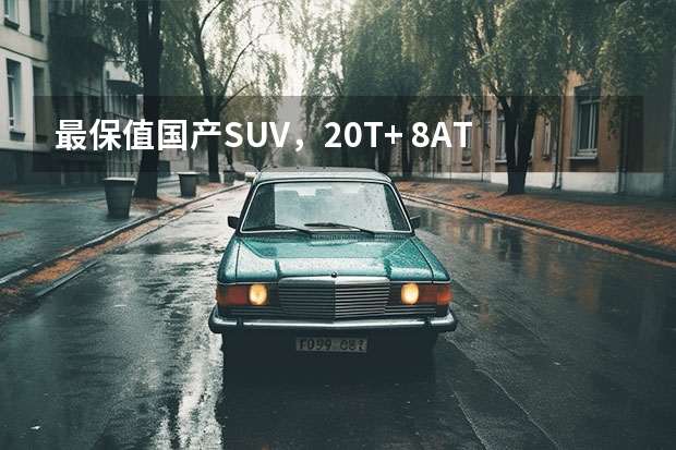 最保值国产SUV，2.0T+ 8AT占75%，最低5万起 30万左右的suv车排行榜前十名