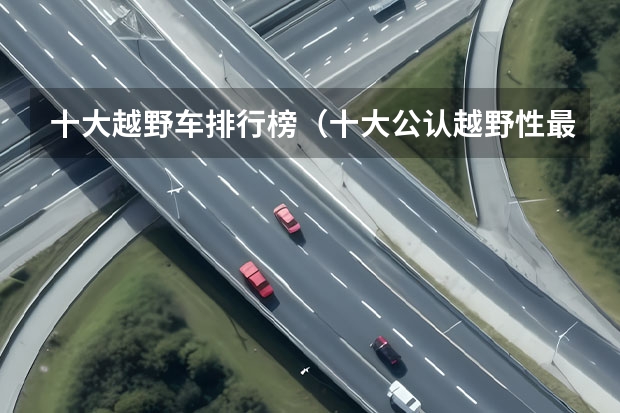 十大越野车排行榜（十大公认越野性最强suv排名）