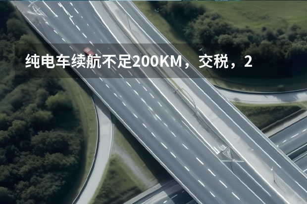 纯电车续航不足200KM，交税，2024年1月执行（世界十大最小汽车）